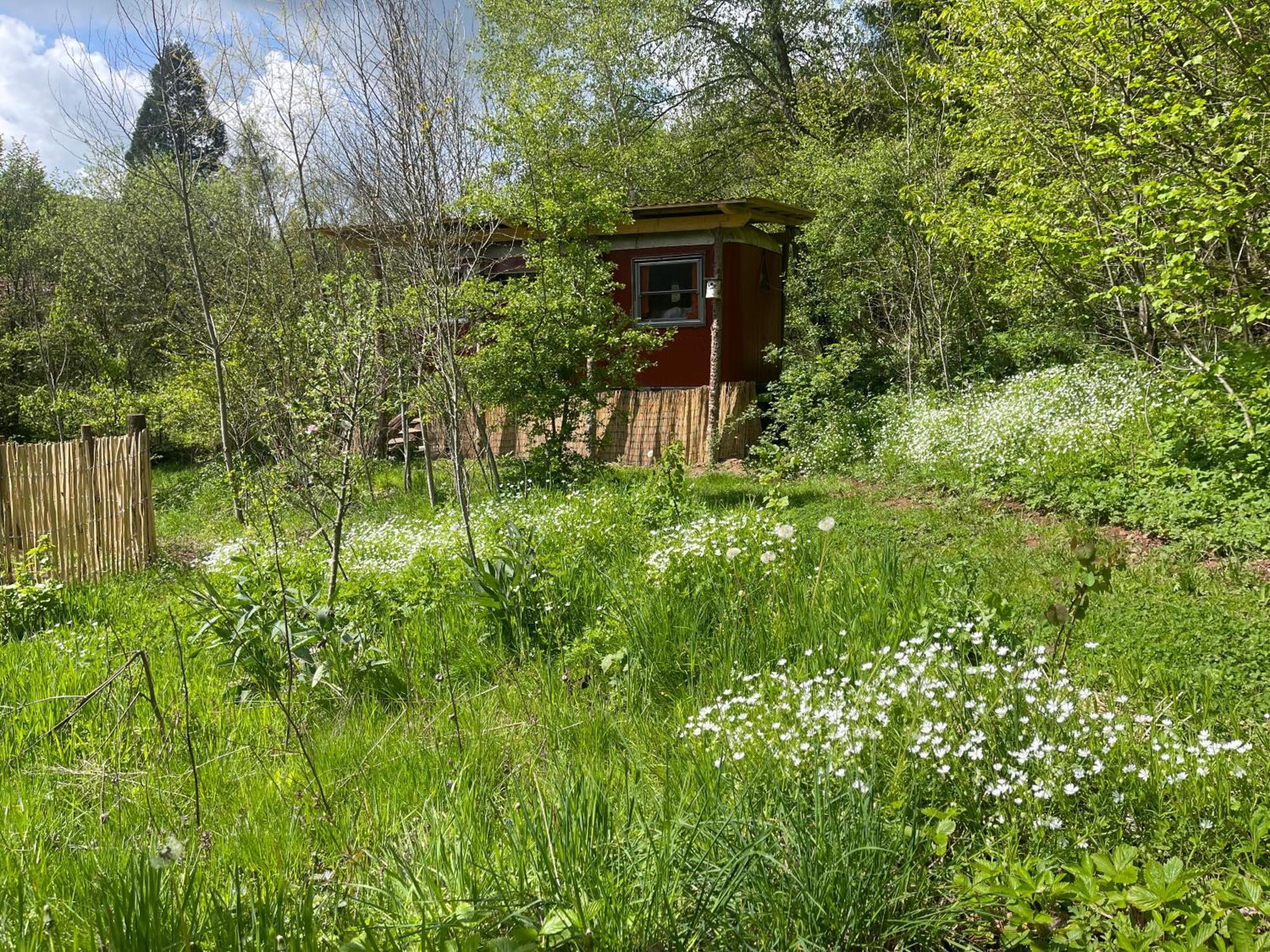 Kuscheliger Zirkuswagen Im Wildgarten Witzenhausen Esterno foto